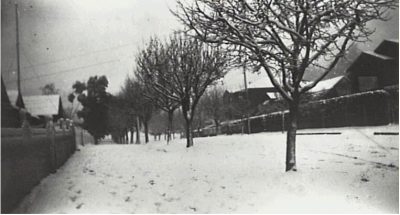 1929 Lurline In Snow, Blue Mountains City Library.